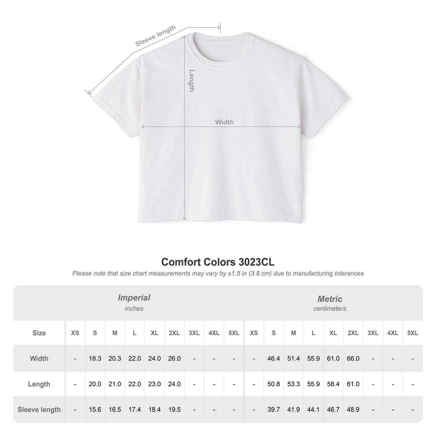 Dinosaur 'Be in the Moment' | Women's Boxy Tee